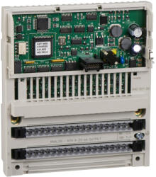 Schneider Electric Modicon Momentum - 170AAO92100 - elosztott analóg kimenet Momentum - 4 kimenet - 4. . 20 mA (170AAO92100)