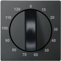 Schneider Electric MERTEN Fedlap, időkapcsolóhoz (120p), System-M, antracit 539214 Schneider (539214)