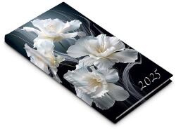 REALSYSTEM 2026 Picture 5811-60 írisz álló zsebnaptár (5811-60)