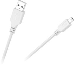 Inne USB A csatlakozó kábel - mini USB csatlakozó (KPO2905W-1)