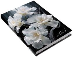 Realsystem 2026 Picture 5321-60 írisz A5 napi beosztású határidőnapló (5321-60) - pcx