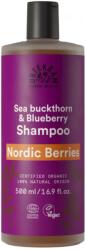 Urtekram BIO sampon, északi bogyókkal igénybevett hajra - 500 ml
