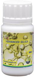Advanced Hydroponics of Holland Silica Térfogat: 60 ml