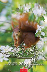 CSG Naptarak Naptár, fali, CSG "Erdeink világa (FN084)