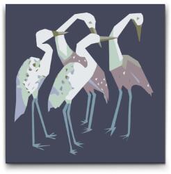  Festés számok szerint - Gémek családja Méret: 30x30cm, Keretezés: Keret nélkül (csak a vászon)