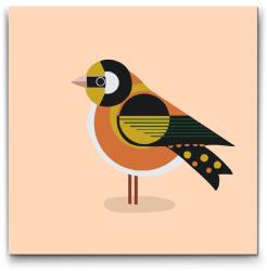  Festés számok szerint - Geometriai madár Méret: 50x50cm, Keretezés: Kartonlemezen