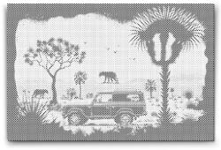  PontPöttyöző - Safari Méret: 40x60cm, Keretezés: Műanyagtáblával, Szín: Fekete