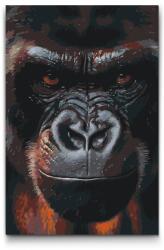  Festés számok szerint - Gorilla arca Méret: 40x60cm, Keretezés: Kartonlemezen