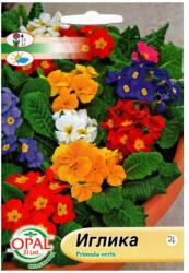 OPAL Seminte de Primula, 0, 15 grame OPAL (HCTG00549)
