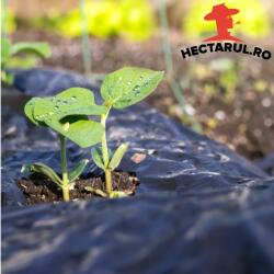 Hectarul. ro Folie de mulcire neagră HECTARUL, tratată UV, 15 microni, 1 x 20 m (HCTS01955)