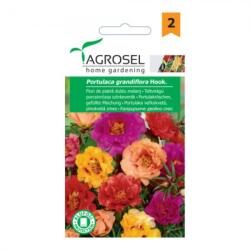 Agrosel Seminte flori Flori de piatra dublu melanj Agrosel 0.4 g (HCTA00946)