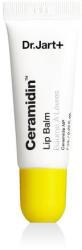 Dr. Jart+ Ceramidin Lip Balm ajakbalzsam 7 ml
