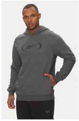 Reebok Férfi Pulóver, 100214853, Pamut/Poliészter, 2XL INTL, Szürke (0000305250469_XXL)