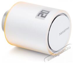 Legrand Radiator Valves