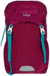 Baagl Tracker Culoare: violet (A-34319)