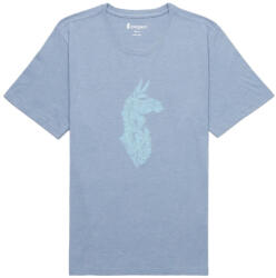 Cotopaxi Into the Pines T-Shirt Mărime: S / Culoare: albastru/gri (TS-F24-INP-TEMPT-M-S)