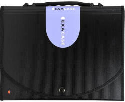 Exacompta Harmonika mappa, A4, PP, 13 rekeszes, EXACOMPTA "Exactive®", fekete