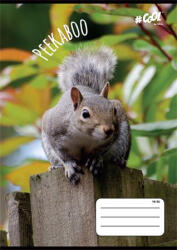 Victoria Füzet, tűzött, A5, vonalas, 32 lap, 2. osztály, COOL BY VICTORIA, "Peekaboo", "16-32