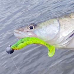 REIVA Zander Power Shad 10cm 4db/cs (4szín) (9901-198) - marlin