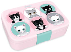 Ars Una Uzsonnás doboz ARS UNA Think Pink osztott műanyag 216x153x52 mm (15.19149)