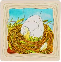 Goki Többrétegű fa kirakó, csibe születik