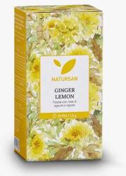 Snak srl Natursan Gyömbér Citrom Tea Filteres Kiszerelésben