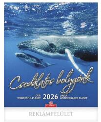 Csg Falinaptár CSG 300x340mm álló Csodálatos Bolygónk 2026 (FN U10CS) - robbitairodaszer