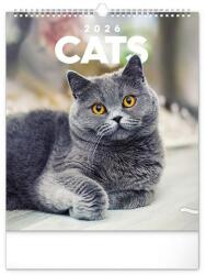 Realsystem Falinaptár REALSYSTEM 300x340mm álló Cats 2026 (6087-CA) - robbitairodaszer