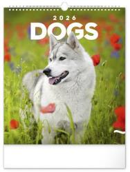 Realsystem Falinaptár REALSYSTEM 300x340mm álló Dogs 2026 (6087-DO) - robbitairodaszer