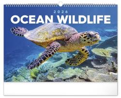 Realsystem Falinaptár REALSYSTEM 480x330mm fekvő Wildlife 2026 (6094-OC) - robbitairodaszer