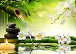 Art Galéria Természetesség - vászonkép