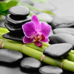 Art Galéria Éden - vászonkép