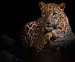 Art Galéria Vadász - vászonkép