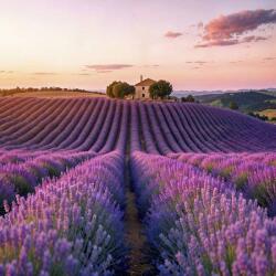 Art Galéria Szivárvány ösvény - vászonkép