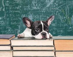 Art Galéria Unalom - vászonkép