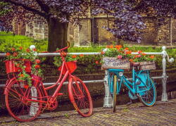 Art Galéria Kék-piros bike - vászonkép
