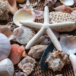 Art Galéria Hullámok kincsei - üvegkép