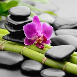 Art Galéria Orchidea - üvegkép