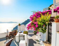 Art Galéria Egészségsziget - vászonkép