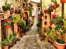 Art Galéria Tündérliget - vászonkép