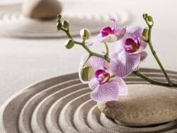 Art Galéria Lágyság - vászonkép