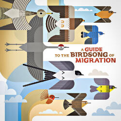 V/A A Guide To the Birdsong of Migration - facethemusic - 9 690 Ft
