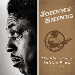 Johnny Shines Blues Came Falling Dow