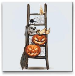  Festés számok szerint - Halloween a létrán Méret: 50x50cm, Keretezés: Keret nélkül (csak a vászon)