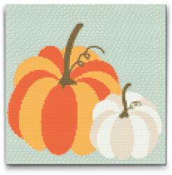  Gyémántszemes kirakó - Két pasztell tök Méret: 50x50cm, Keretezés: Keret nélkül (csak a vászon), Gyémántok: Négyzet alakú