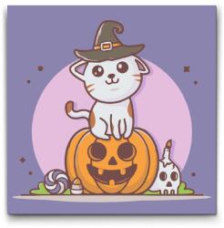  Festés számok szerint - Macska a tökön Méret: 50x50cm, Keretezés: Keret nélkül (csak a vászon)