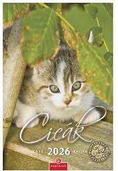 CSG 2026 Cicák 21x32 cm falinaptár FN 089 (FN 089)