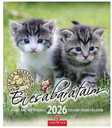 CSG Falinaptár CSG 190x220mm álló Én és a barátaim 2026 (FN U05) - papir-bolt