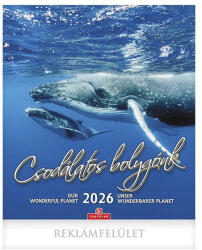 CSG Falinaptár CSG 300x340mm álló Csodálatos Bolygónk 2026 (FN U10CS) - papir-bolt