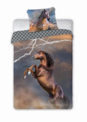 Ábránd Lovas ágyneműhuzat, Villám, 140x200 + 70x90 cm (003)